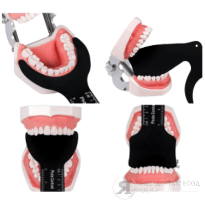 Контрастьори за интраорална фотография