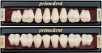 Primodent - Трислойни зъбни гарнитури, 1 четвъртинка