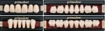 Primodent - Трислойни зъбни гарнитури, цели